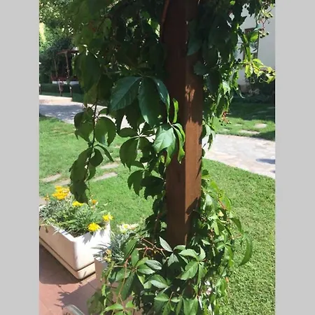 Garden Of Eden 2 Bed Bulgaria سفيتي فلاس