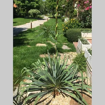 شقة Garden Of Eden 2 Bed Bulgaria