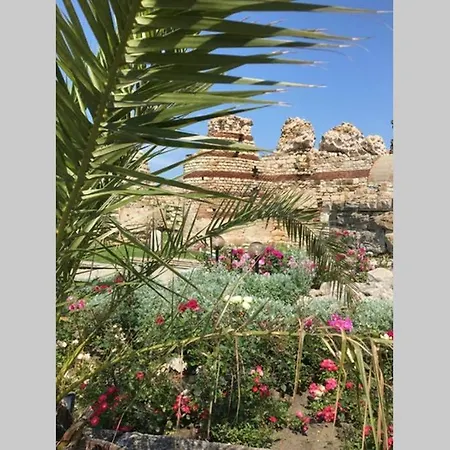 Garden Of Eden 2 Bed Bulgaria * سفيتي فلاس